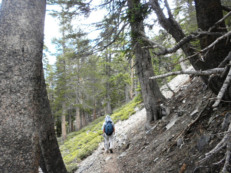 badenpowell710 014.jpg